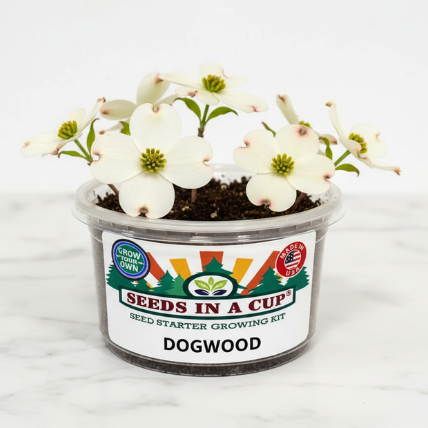 Tree Growing Kit - Complete Seed Starter Kit with Multiple Varieties for Successful Planting