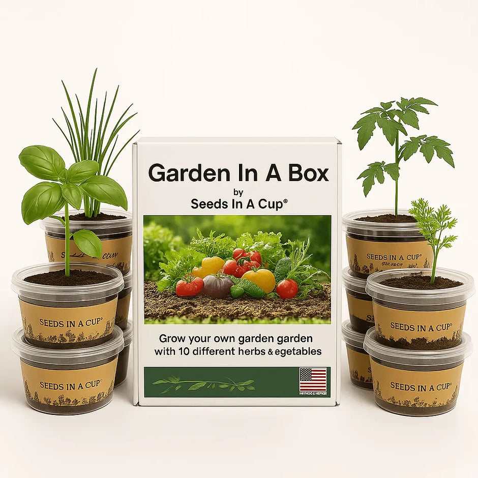 Garden in a Box - 5 Vegetable & Herb Growing Kits | Complete Indoor Garden Bundle