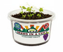 Tree Growing Kit - Complete Seed Starter Kit with Multiple Varieties for Successful Planting