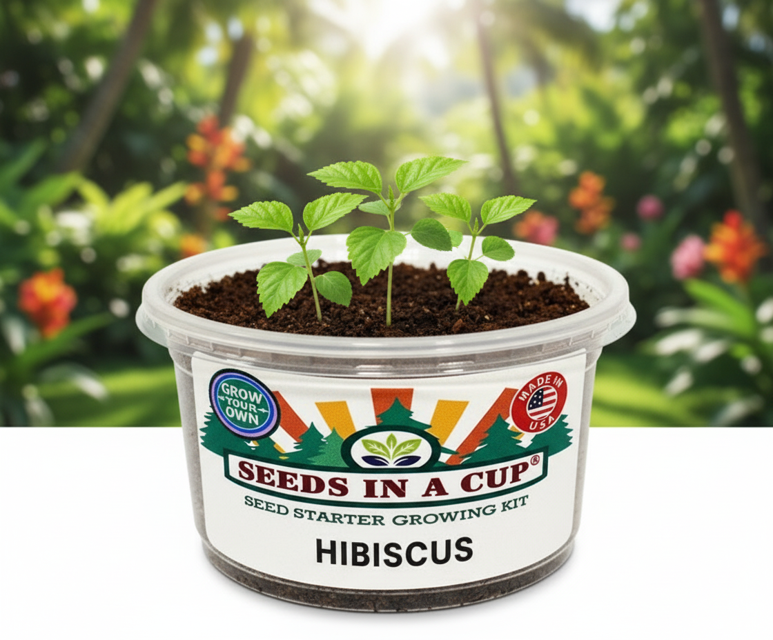 Tree Growing Kit - Complete Seed Starter Kit with Multiple Varieties for Successful Planting