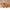 Barbie Holiday Doll 2025  - Select Figure(s)