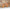 Barbie Holiday Doll 2025  - Select Figure(s)
