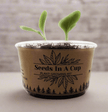 Seeds In A Cup® | Jalapeño Plant Grow from Seed Gardening Kit