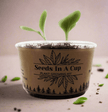 Seeds In A Cup® | Jalapeño Plant Grow from Seed Gardening Kit