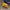 Gamecube Wired Controller (Yellow/Purple)