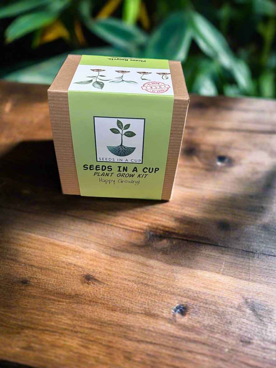 Black Cherry Tree Kit - Ultimate All-in-One Seed Starter Solution for Garden Enthusiasts