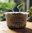 Red Raspberry Grow Kit | Shrub Seed Starter Grow Kit | Seeds In A Cup®