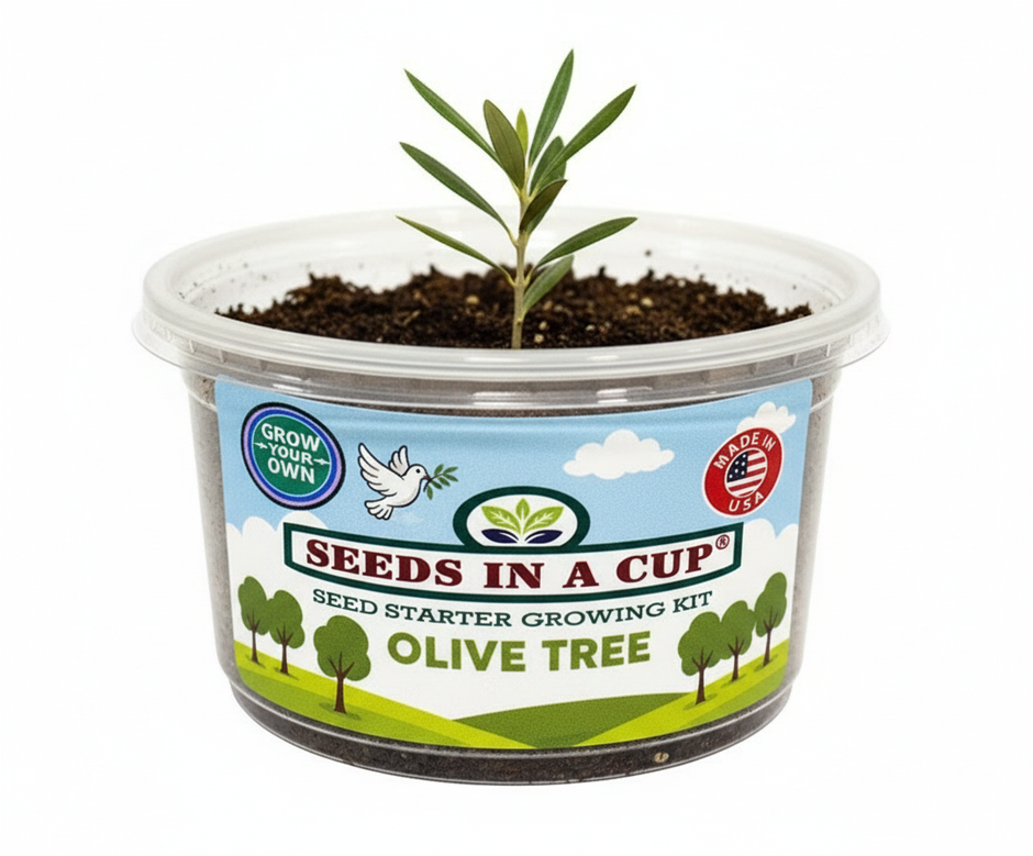 Tree Growing Kit - Complete Seed Starter Kit with Multiple Varieties for Successful Planting