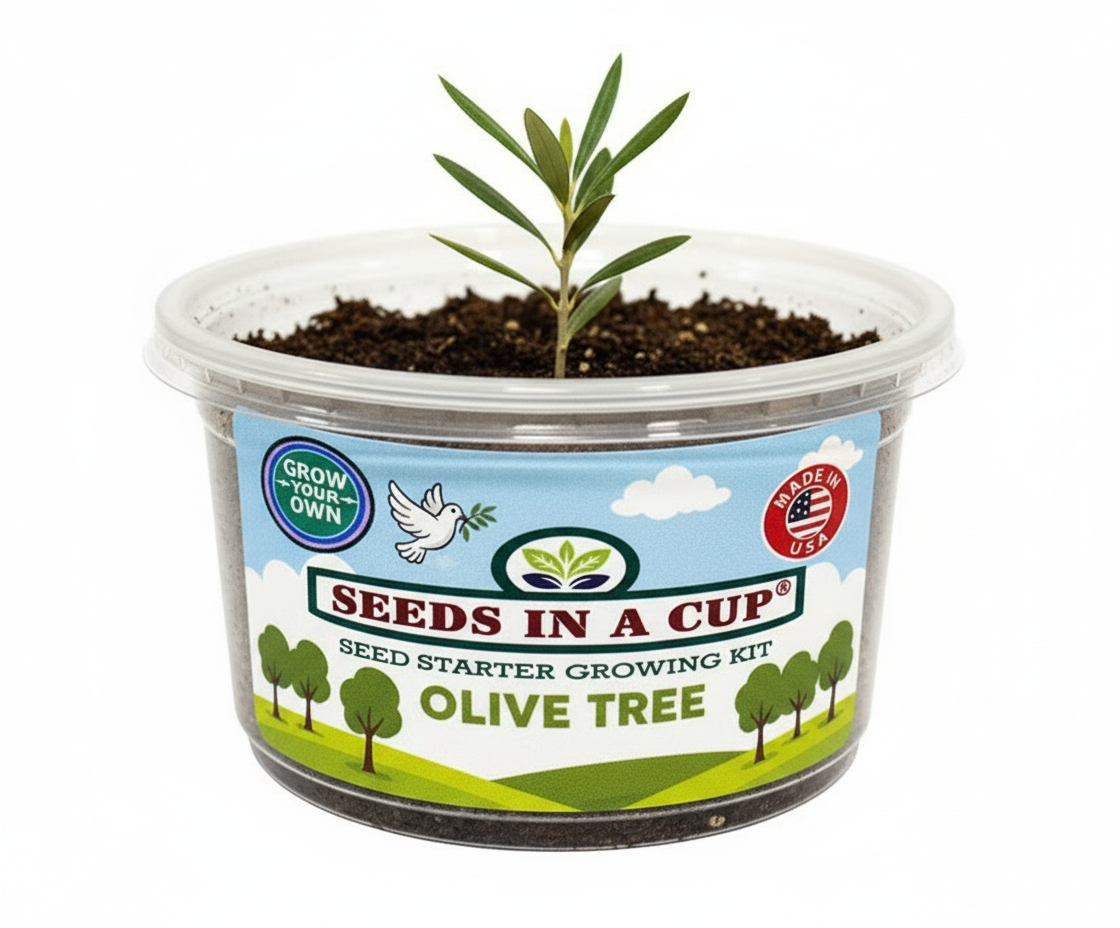 Tree Growing Kit - Complete Seed Starter Kit with Multiple Varieties for Successful Planting