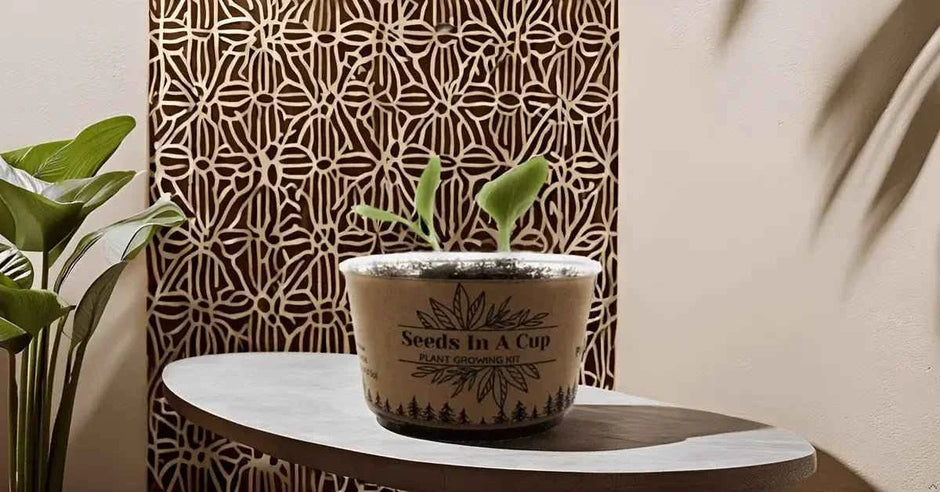 American Elm Tree Kit - All-in-One Complete Seed Starter Kit