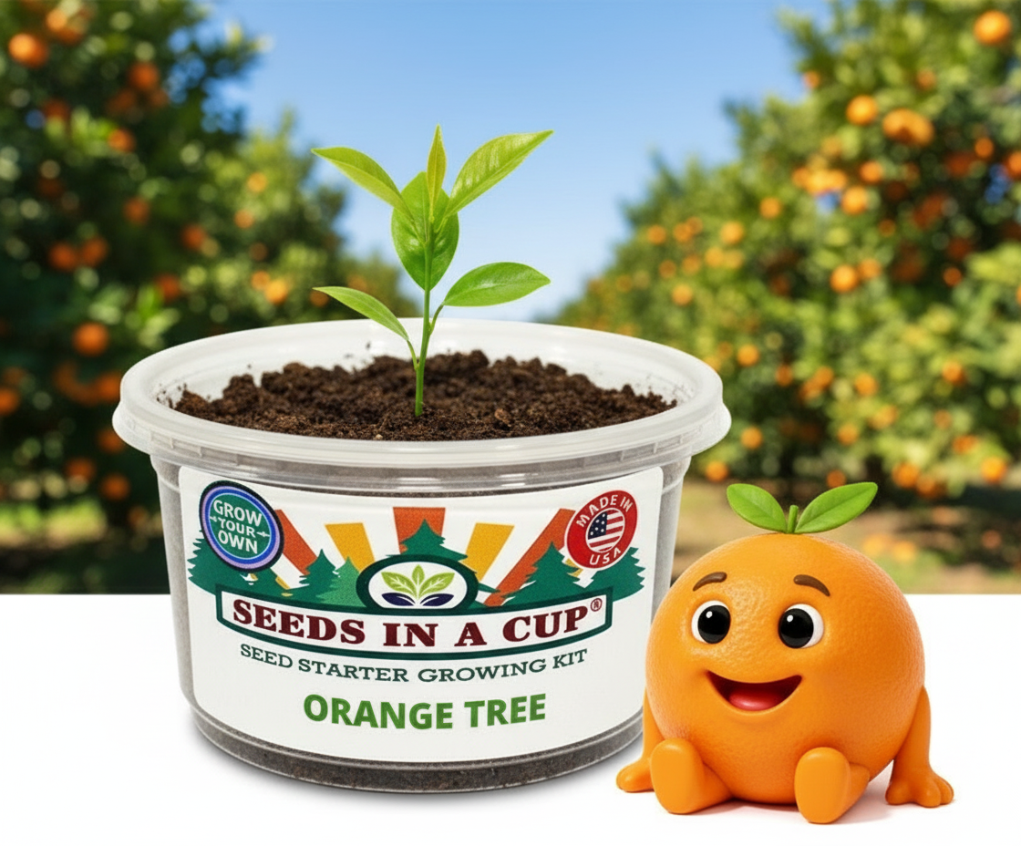 Tree Growing Kit - Complete Seed Starter Kit with Multiple Varieties for Successful Planting