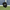 Pickleball Paddle Cover