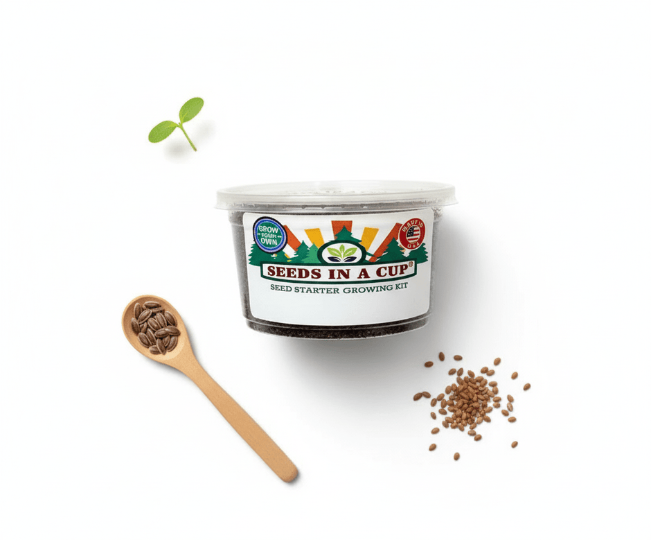 Oregano Growing Kit - Herb Seed Starter Kit