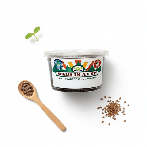 Carrot Growing Kit - Vegetable Seed Starter Kit