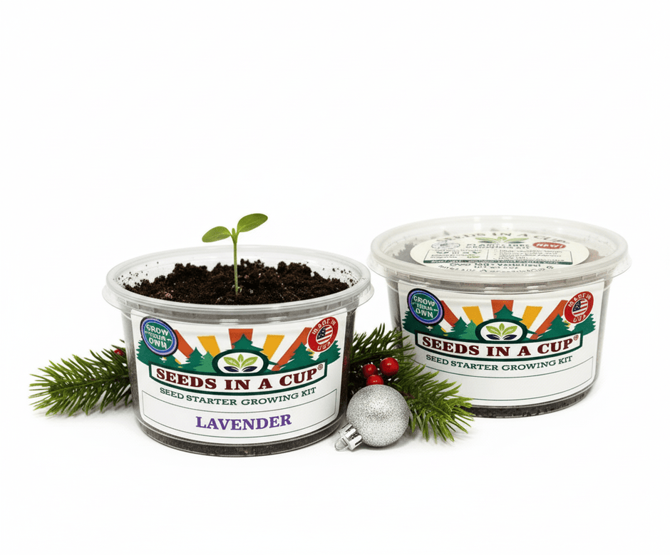 Lavender Growing Kit - Herb Seed Starter Kit