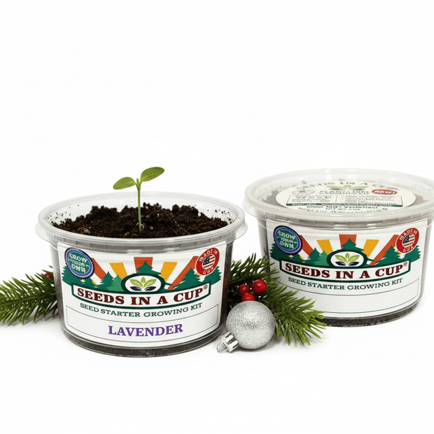 Lavender Growing Kit - Herb Seed Starter Kit
