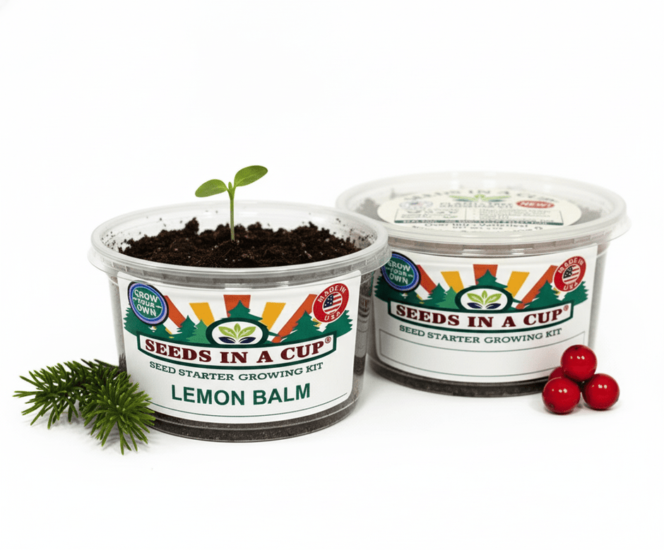 Lemon Balm Growing Kit - Herb Seed Starter Kit