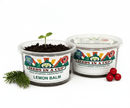 Lemon Balm Growing Kit - Herb Seed Starter Kit