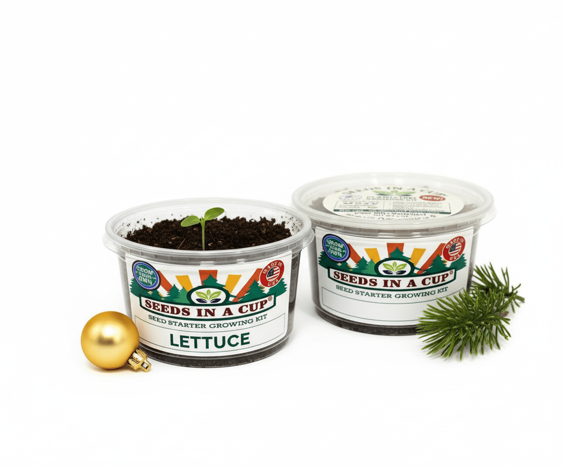Lettuce Growing Kit - Vegetable Seed Starter Kit