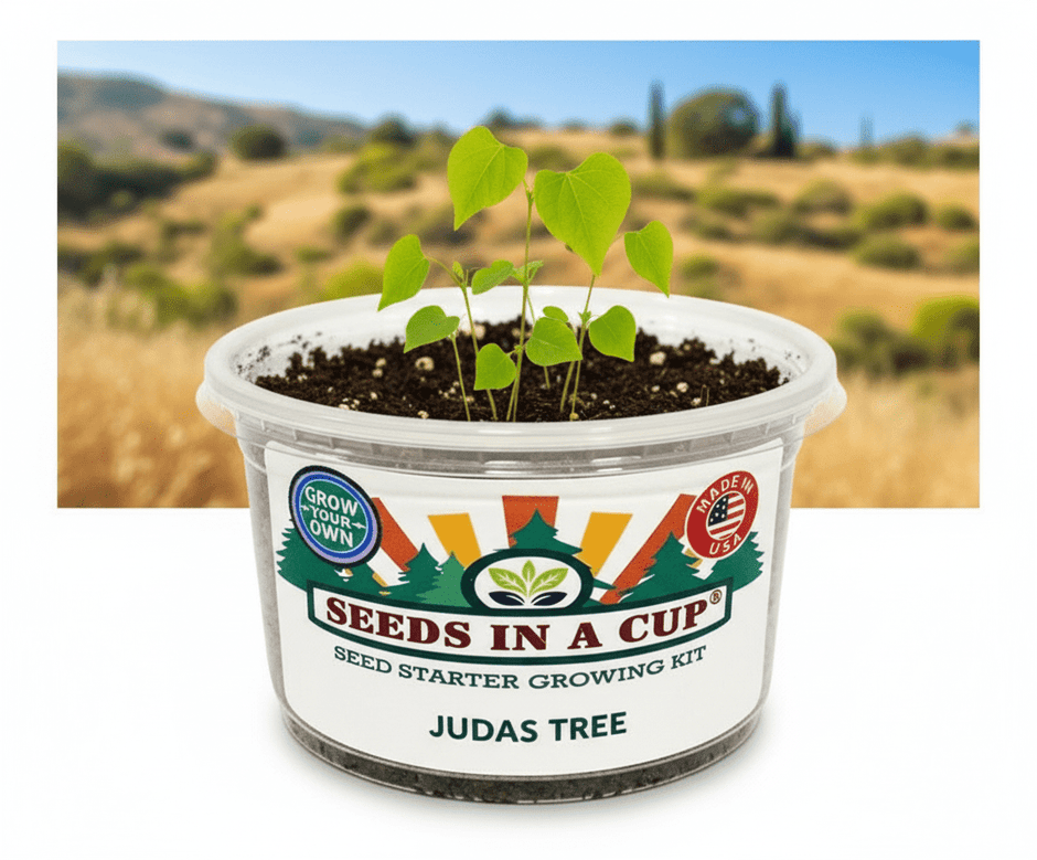 Okra Growing Kit - Vegetable Seed Starter Kit