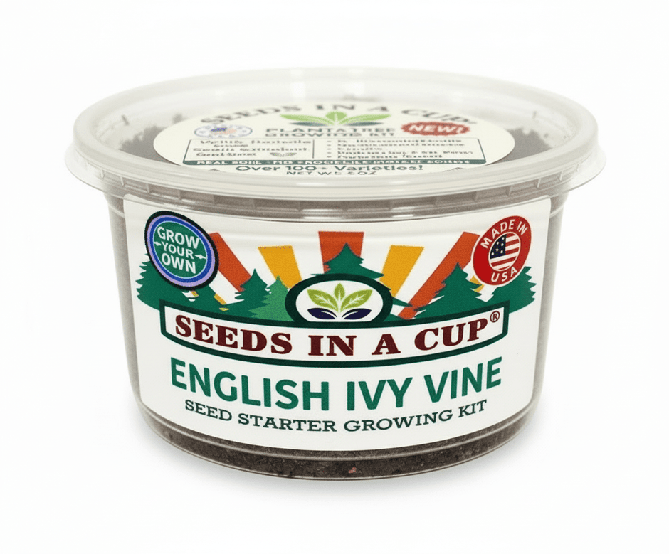 Celery Growing Kit - Vegetable Seed Starter Kit