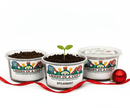 Spearmint Growing Kit - Herb Seed Starter Kit