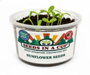 Sunflower Growing Kit - Flower Seed Starter Kit
