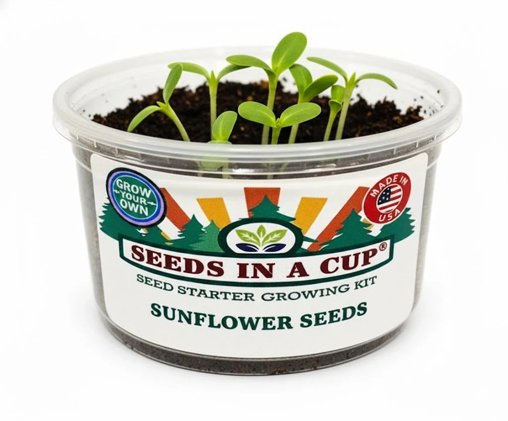 Sunflower Growing Kit - Flower Seed Starter Kit