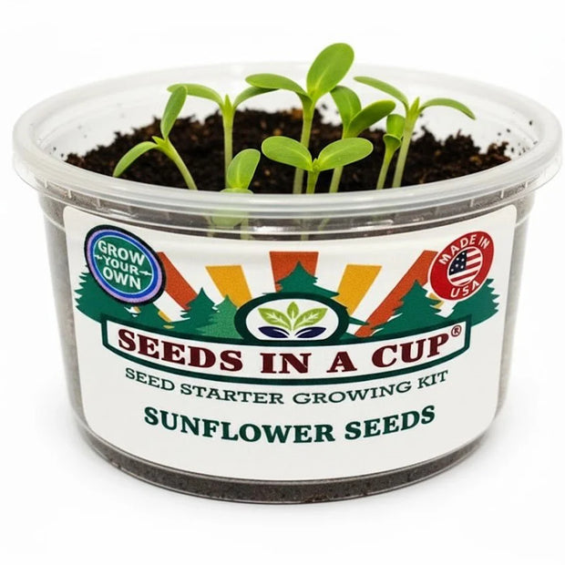 Sunflower Growing Kit - Flower Seed Starter Kit