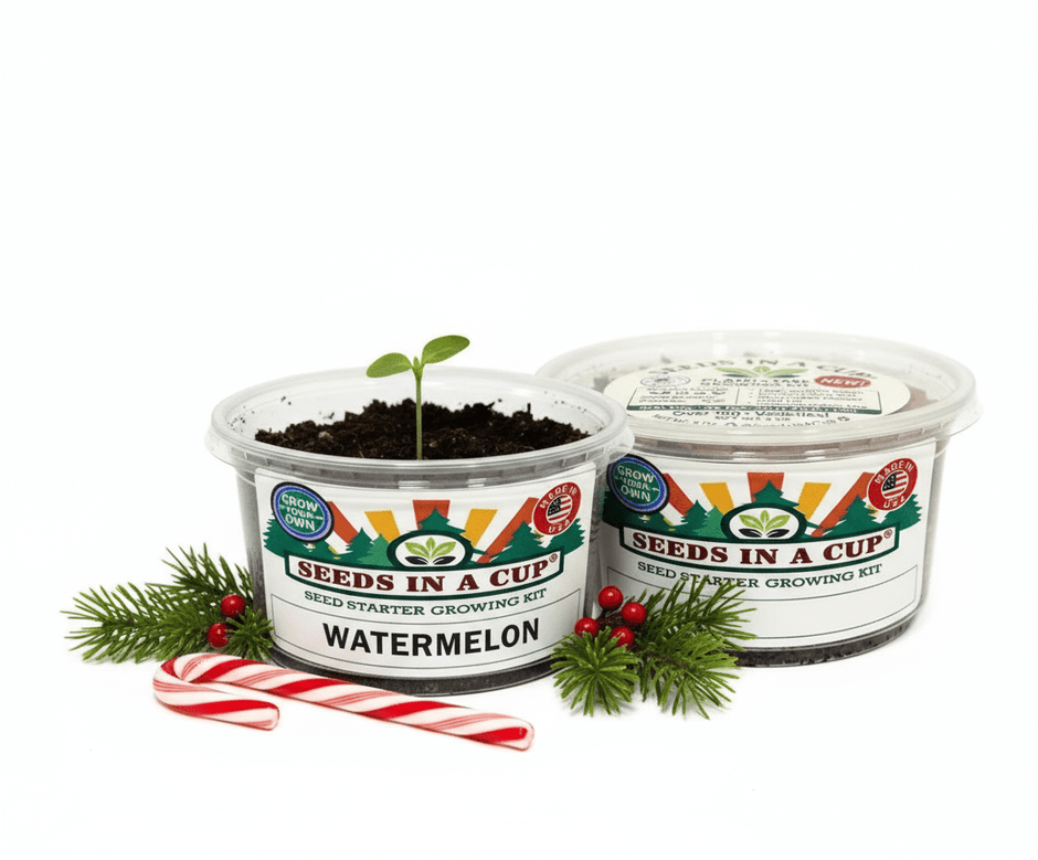 Watermelon Growing Kit - Vegetable Seed Starter Kit