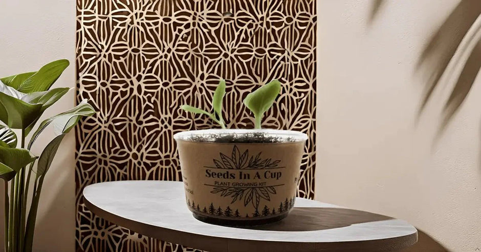 Seeds In A Cup® | Jalapeño Plant Grow from Seed Gardening Kit