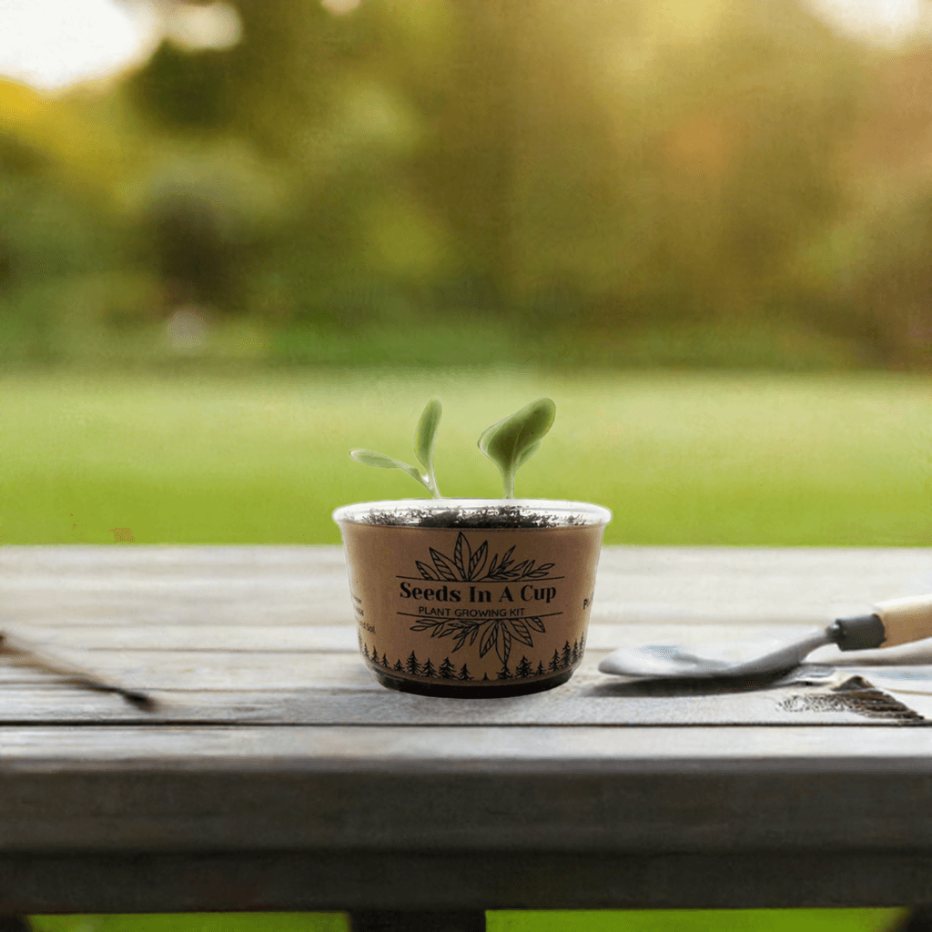 Seeds In A Cup® | Jalapeño Plant Grow from Seed Gardening Kit