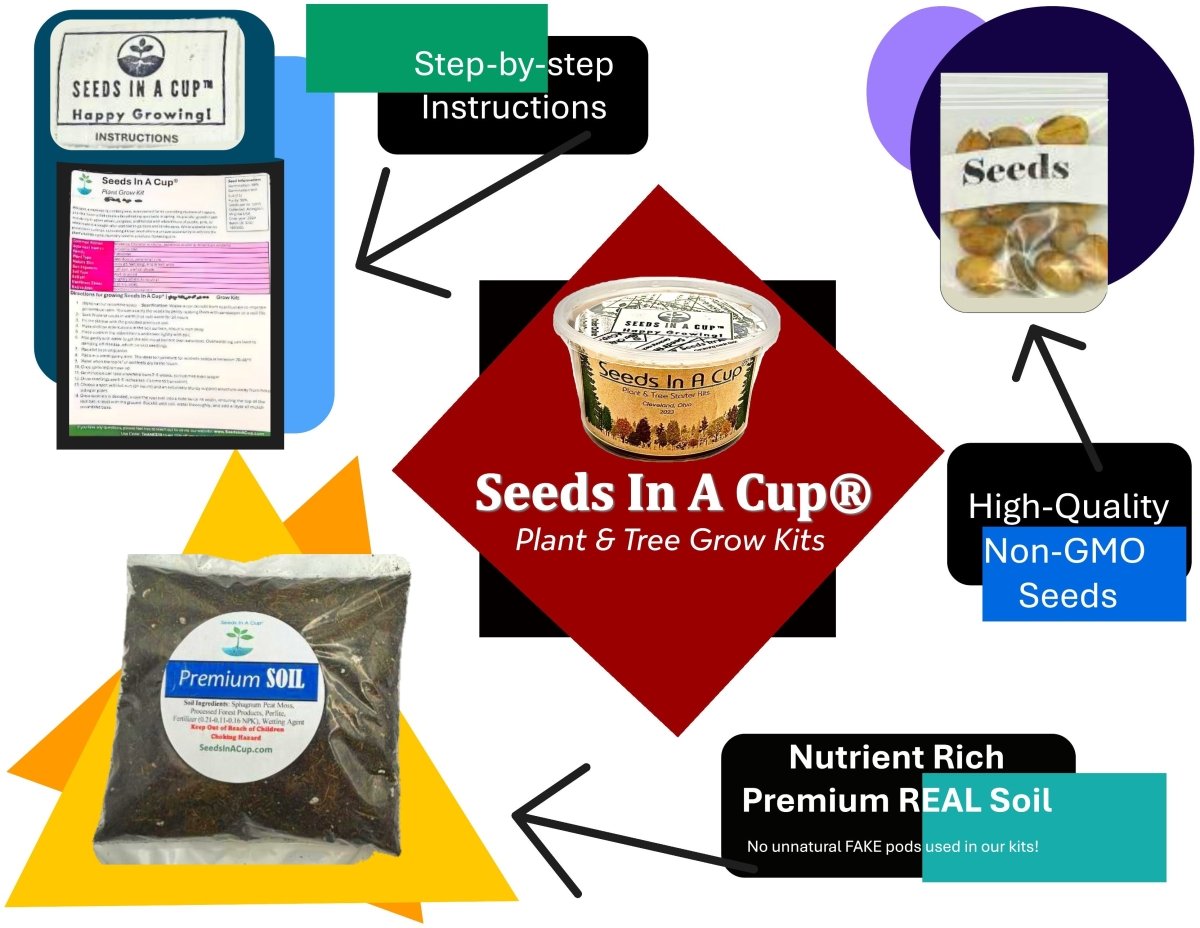 Southern Magnolia Tree Kit - Complete Seed Starter Kit for Thriving Growth