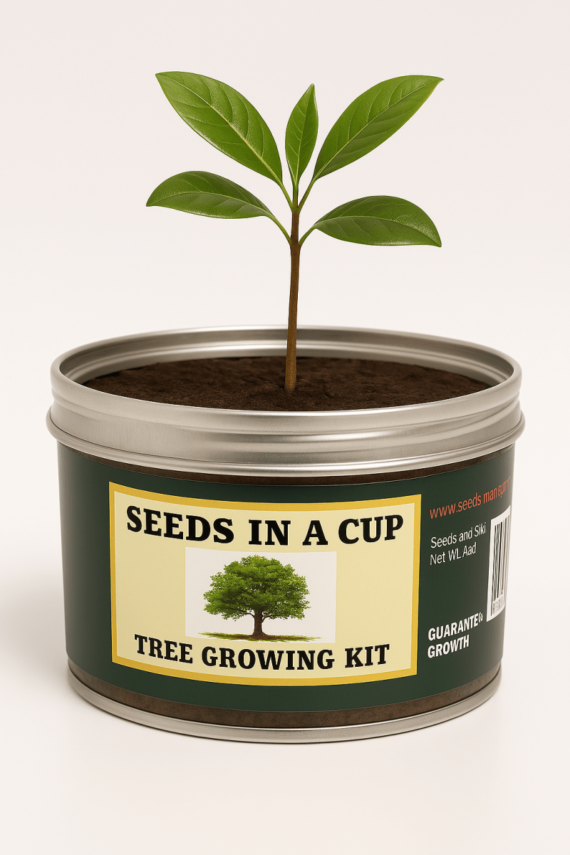 Southern Magnolia Tree Kit - Complete Seed Starter Kit for Thriving Growth