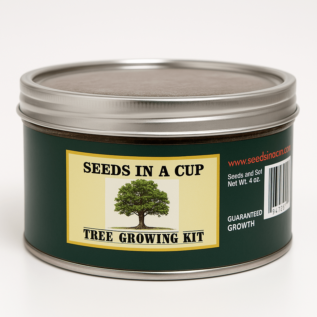 Southern Magnolia Tree Kit - Complete Seed Starter Kit for Thriving Growth