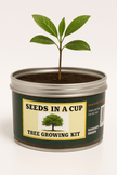 Southern Magnolia Tree Kit - Complete Seed Starter Kit for Thriving Growth