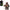 Star Wars: Return of the Jedi - The Black Series 6-Inch Action Figure - Select Figure(s)