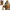 Teenage Mutant Ninja Turtles BST AXN IDW Action Figure and Comic Book Set - Select Figure(s)
