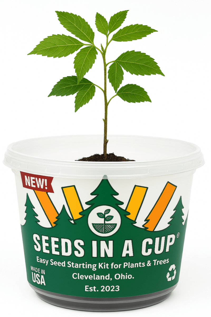 Kale Growing Kit - Vegetable Seed Starter Kit