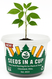 Sunflower Growing Kit - Flower Seed Starter Kit