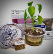 Thyme | Plant Seed Starter Grow Kit | Seeds In A Cup®