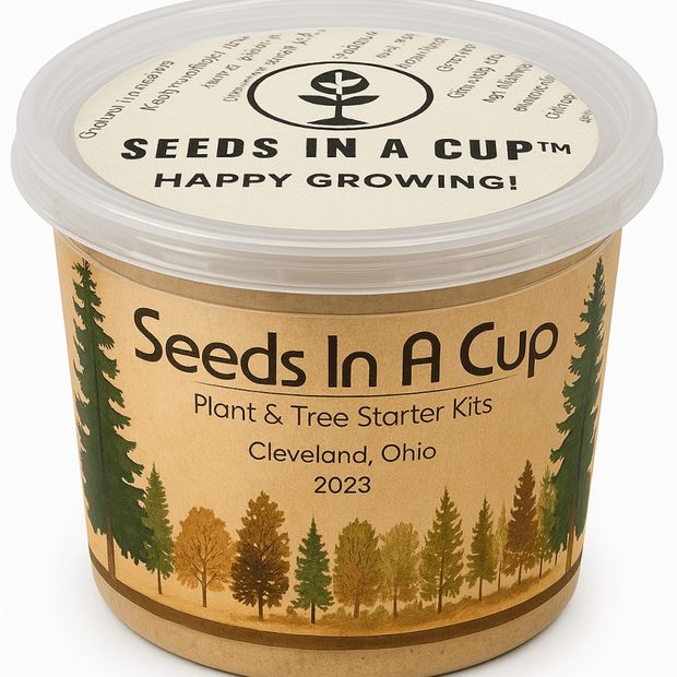 Green Bell Pepper Growing Kit - Pepper Seed Starter Kit