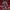 Transformers War for Cybertron Kingdom Deluxe - Select Figure(s)