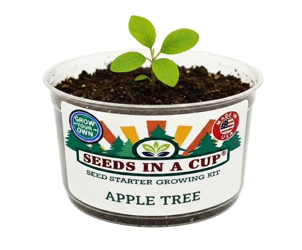 Apple Tree Growing Kit - Complete Fruit Tree Seed Starter Kit for Home Gardening
