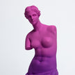 Venus de Milo Resin Statue - Today is Art Day