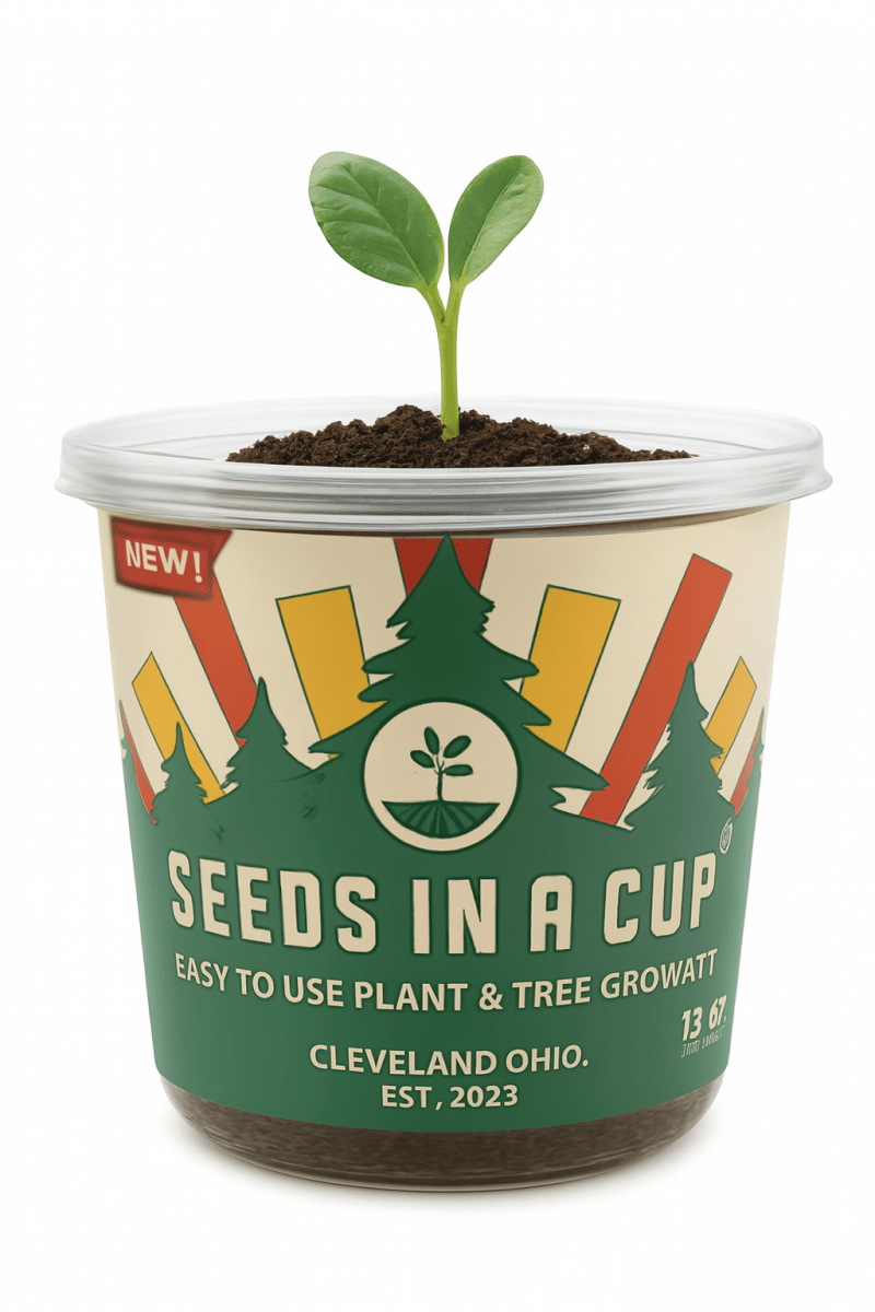 Seeds In A Cup® Original Tree Grow Kit - Learn How to Grow Apple Seeds at Home