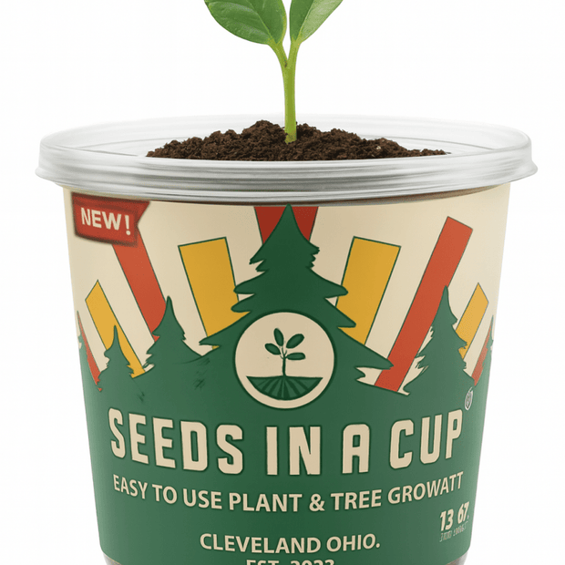 Red Raspberry Grow Kit | Shrub Seed Starter Grow Kit | Seeds In A Cup®