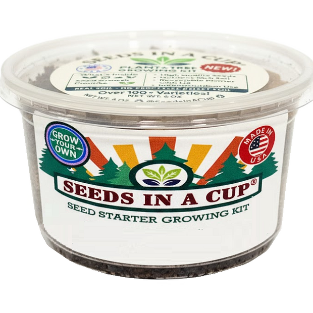 Beans | Plant Seed Starter Grow Kit | Seeds In A Cup®