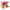 Youtooz - Meme Collection Vinyl Figure - Select Figure(s)