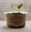 Chives | Plant Seed Grow Kit | Seeds In A Cup®